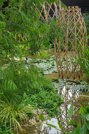 Guangzhou China: Guangzhou Garden - RHS Chelsea Flower Show 2021