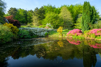 High Beeches in May