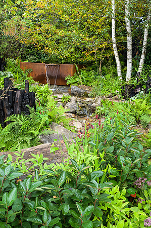 The Yeo Valley Organic Garden - RHS Chelsea Flower Show 2021 - D
