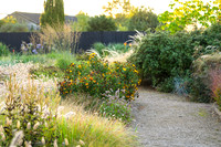 Longhouse Plants Nursery and Gardens TEG October2026