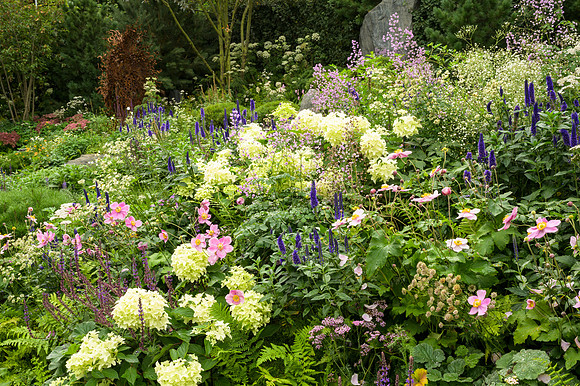 Bodmin Jail 60 Degrees East: A Garden Between Continents - RHS C
