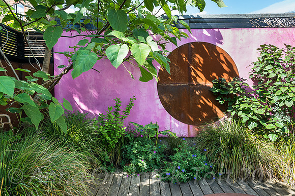 Muswell Hill Garden, Designer: Anna Sanchez-Martin