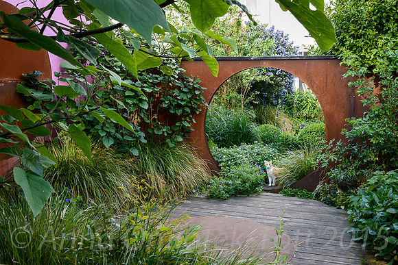 Muswell Hill Gardens, Anna Sanche-  Martin