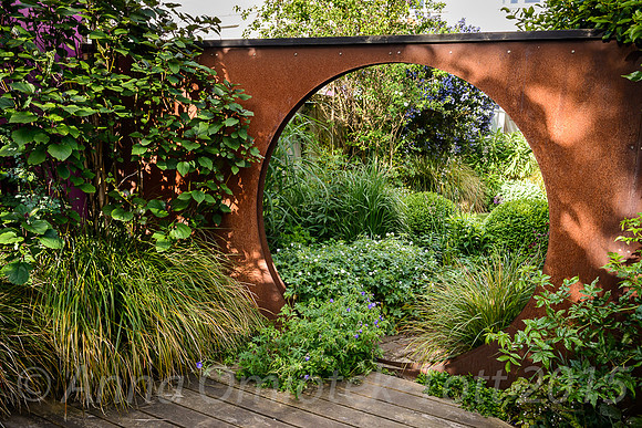 Muswell Hill Gardens, Anna Sanche-  Martin