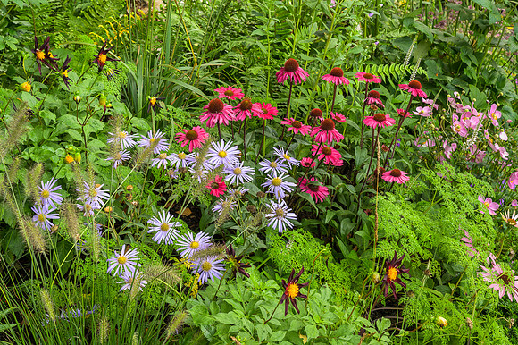 Florence Nightingale Garden; Celebration of Modern-Day Nursing -