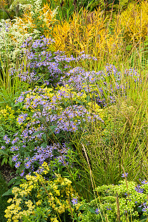 The M&G Garden - RHS Chelsea Flower Show 2021 - Design:  Hugo Bu