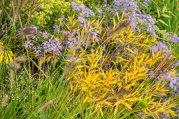The M&G Garden - RHS Chelsea Flower Show 2021 - Design:  Hugo Bu