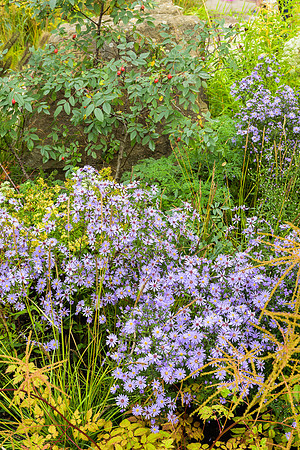 The M&G Garden - RHS Chelsea Flower Show 2021 - Design:  Hugo Bu