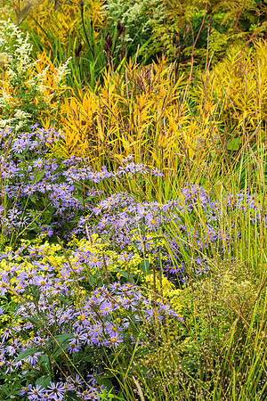 The M&G Garden - RHS Chelsea Flower Show 2021 - Design:  Hugo Bu