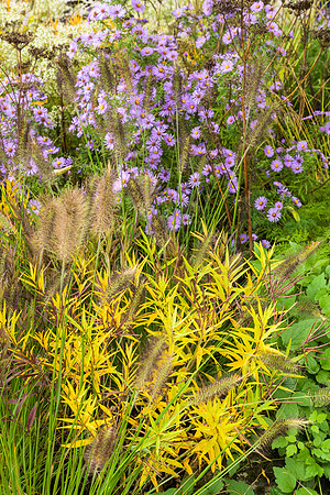 The M&G Garden - RHS Chelsea Flower Show 2021 - Design:  Hugo Bu