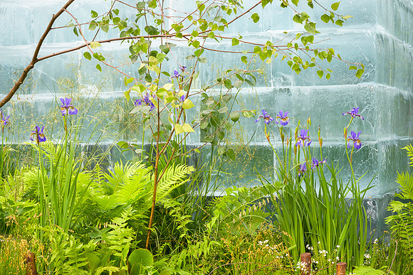 The Plantsman's Ice Garden by John Warland