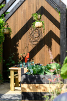The Plant-Based Garden