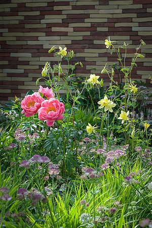 The Stitchers' Garden by Frederic Whyte with peonies