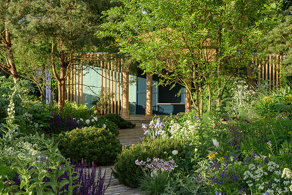 The RNLI Garden by Chris Beardshow
