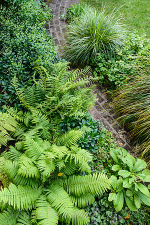 Muswell Hill Gardens, Anna Sanche-  Martin