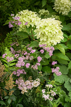 Bodmin Jail 60 Degrees East: A Garden Between Continents - RHS C