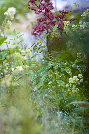 The Way Of Saint James, designed by Nilufer Danis Bulit by Acacia Gardens