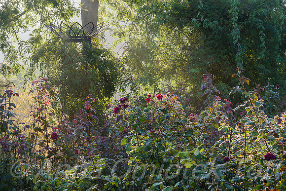 RHS Wisley