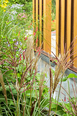 Finding Our Way: an NHS Tribute Garden. - RHS Chelsea Flower Sho
