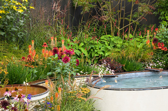 Finding Our Way: an NHS Tribute Garden. - RHS Chelsea Flower Sho
