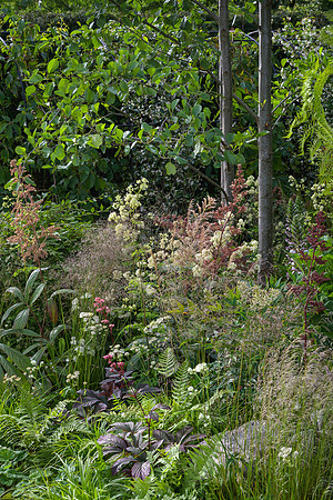 The Way Of Saint James, designed by Nilufer Danis Bulit by Acacia Gardens