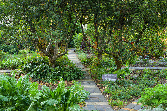 Barnsley House Potteger