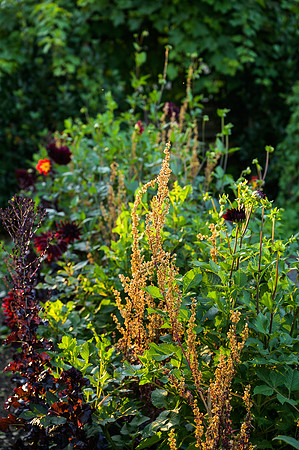 Barnsley House Potteger