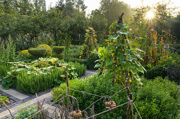 Barnsley House Potteger