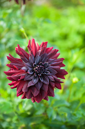 Barnsley House Potteger