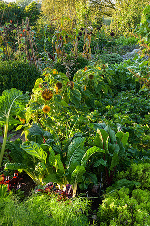 Barnsley House Potteger