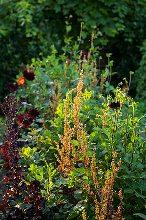 Barnsley House Potteger
