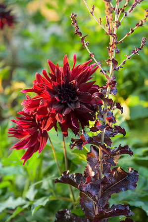 Barnsley House Potteger