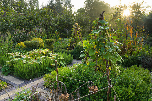 Barnsley House Potteger