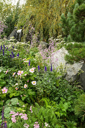 Bodmin Jail 60 Degrees East: A Garden Between Continents - RHS C