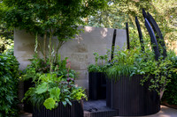 SanctumContainer Garden by Sonja Kalkschmidt built by Big Fish Landscapes