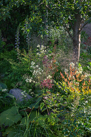 The Way Of Saint James, designed by Nilufer Danis Bulit by Acacia Gardens