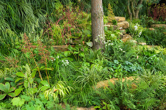 Guangzhou China: Guangzhou Garden - RHS Chelsea Flower Show 2021