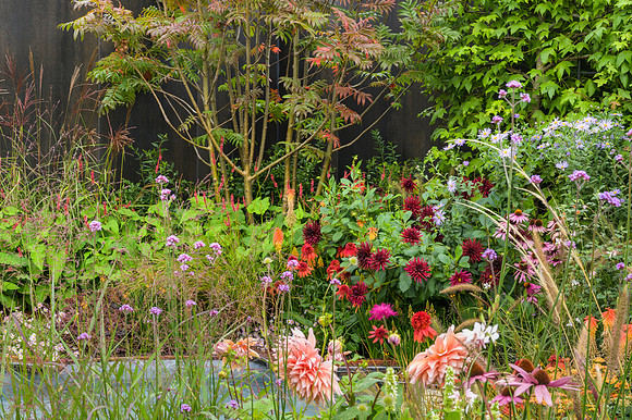 Finding Our Way: an NHS Tribute Garden. - RHS Chelsea Flower Sho