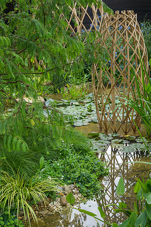Guangzhou China: Guangzhou Garden - RHS Chelsea Flower Show 2021