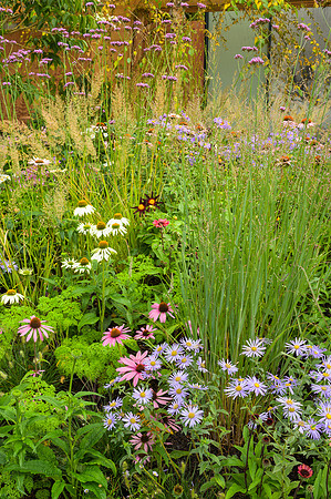 Florence Nightingale Garden; Celebration of Modern-Day Nursing -