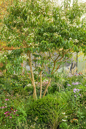 Florence Nightingale Garden; Celebration of Modern-Day Nursing -