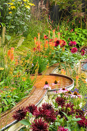 Finding Our Way: an NHS Tribute Garden. - RHS Chelsea Flower Sho