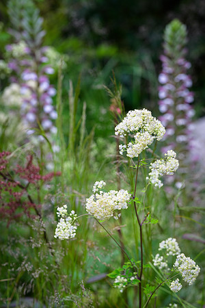The Way Of Saint James, designed by Nilufer Danis Bulit by Acacia Gardens