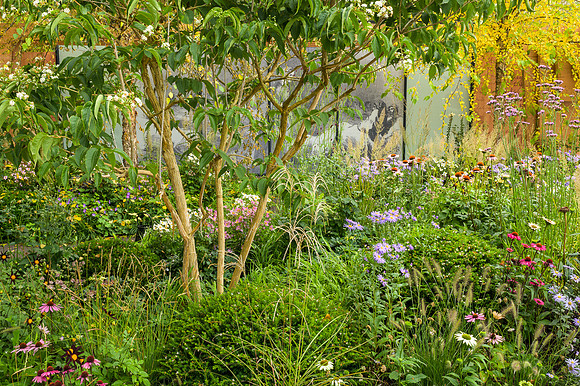 Florence Nightingale Garden; Celebration of Modern-Day Nursing -