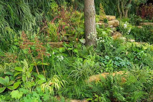 Guangzhou China: Guangzhou Garden - RHS Chelsea Flower Show 2021